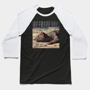 Fossa Baseball T-Shirt